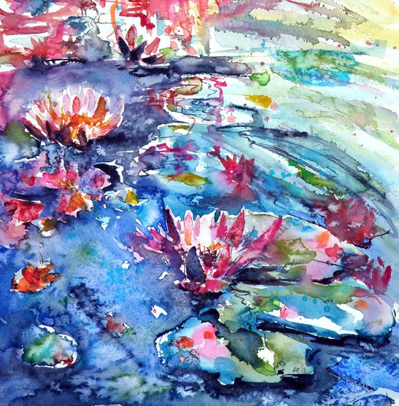 Waterlily
