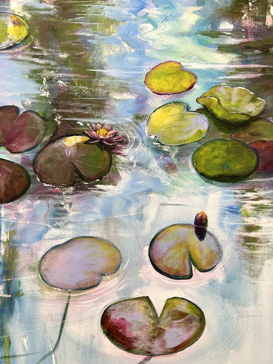 Water Lilies At Sunset 5