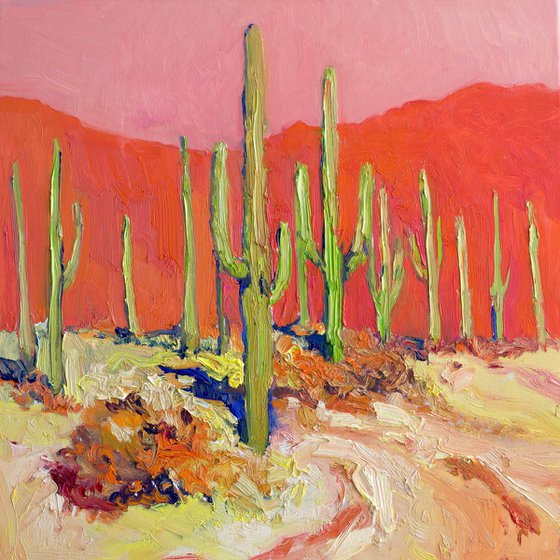 Warm Reflections. Saguaros in the Desert