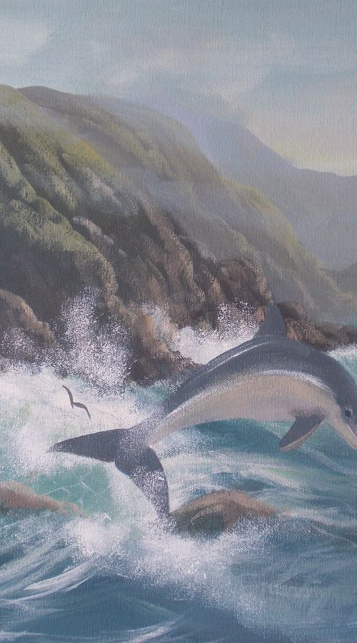 dolphin on the west coast by cathal o malley