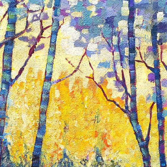 Sunbeams in the forest