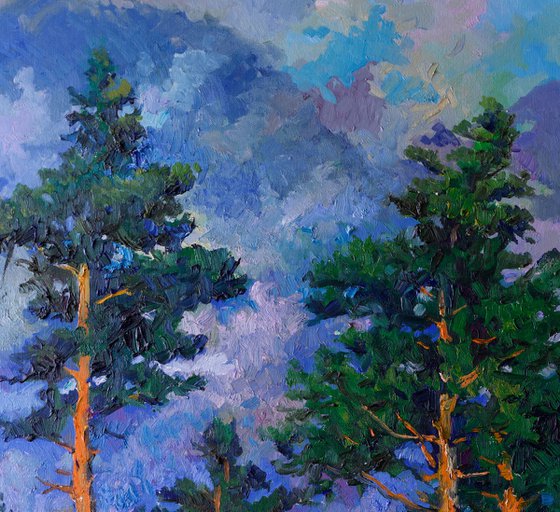 Pine Forest, After the Rain