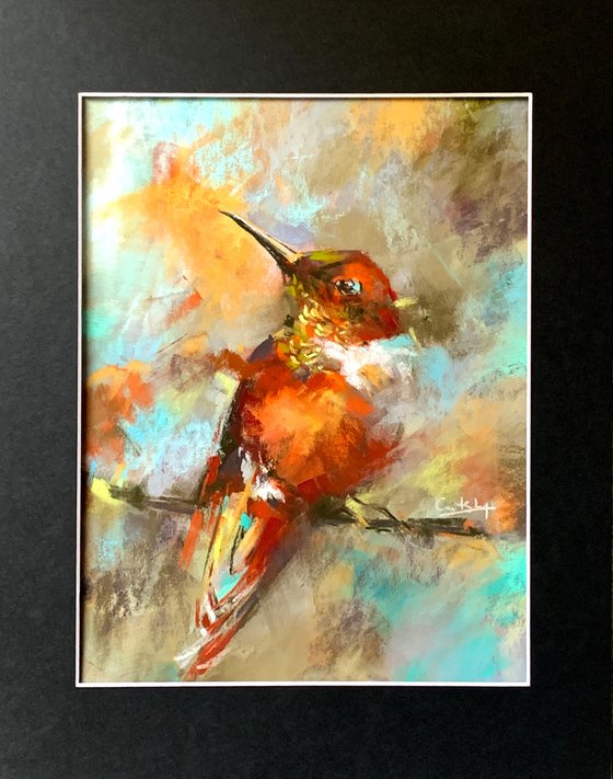 Hummingbird