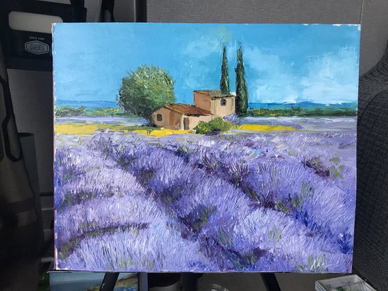 Provence lavender fields oil painting