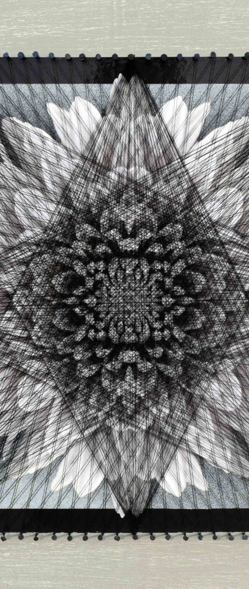 Nailed it Series No. 18 by Sumit Mehndiratta