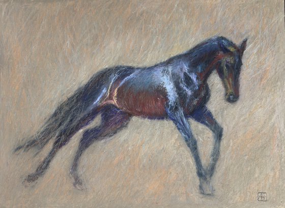 Black Horse