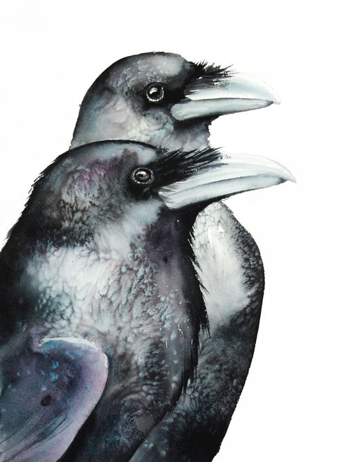 Raven 30x40cm, wildlife watercolours by Karolina Kijak