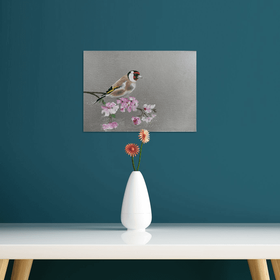 Goldfinch on Cherry Blossom
