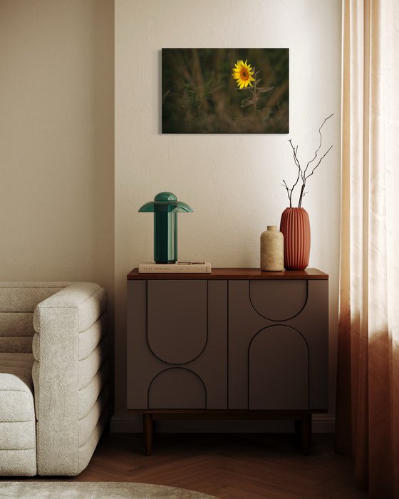 Golden Silence V – Solitary Light