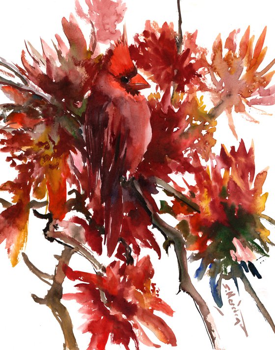 Cardinal Bird and Red Flowers