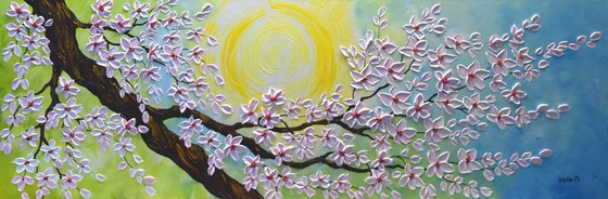 Cherry Blossom - series