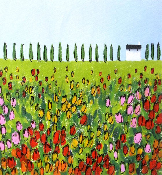 Field of Tulips