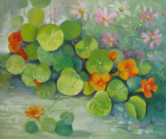 Summer colors