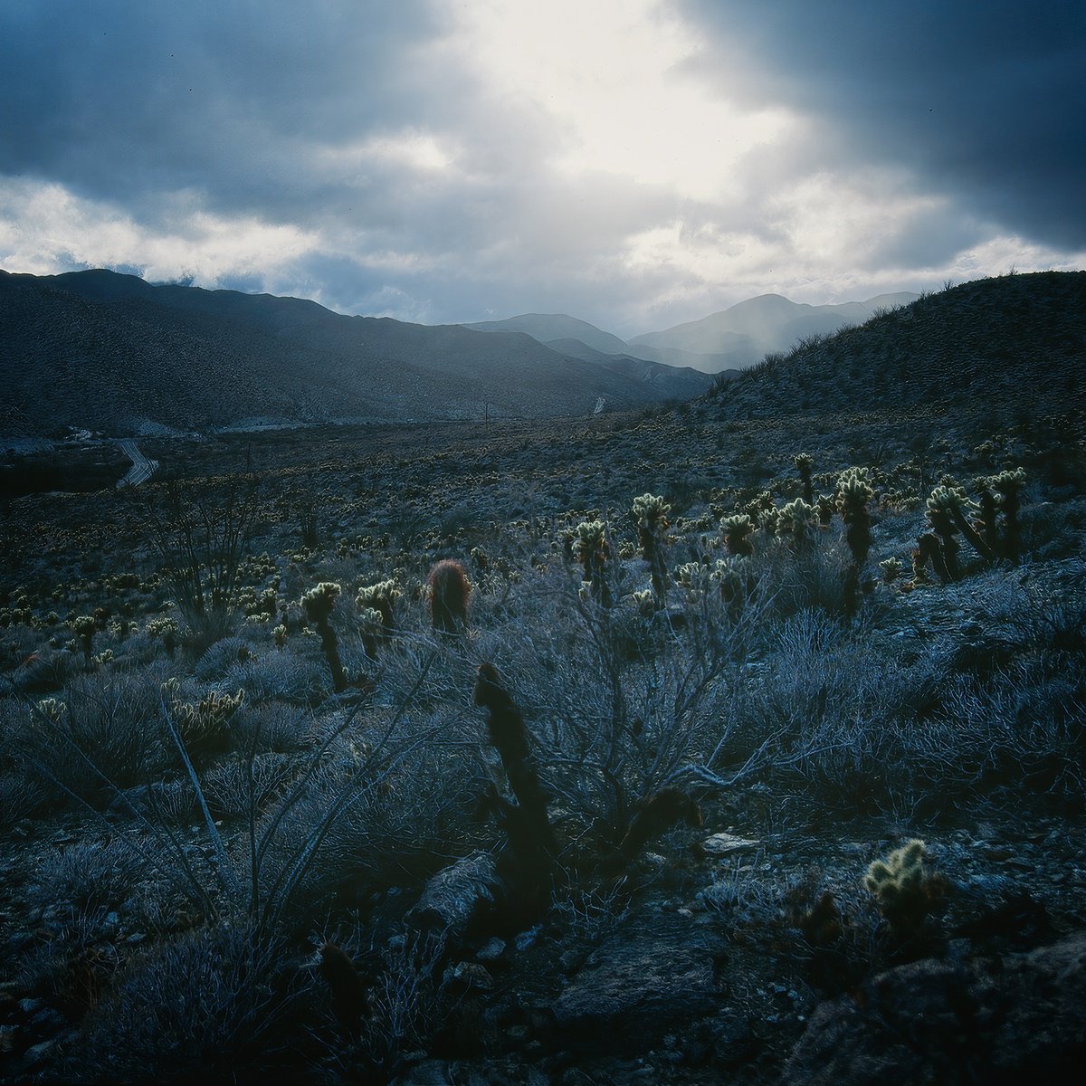 Photorealistic Landscape Photograph By Heike Bohnstengel, 12 X 12, Evening Storm, Anza Borrego, Original Artwork