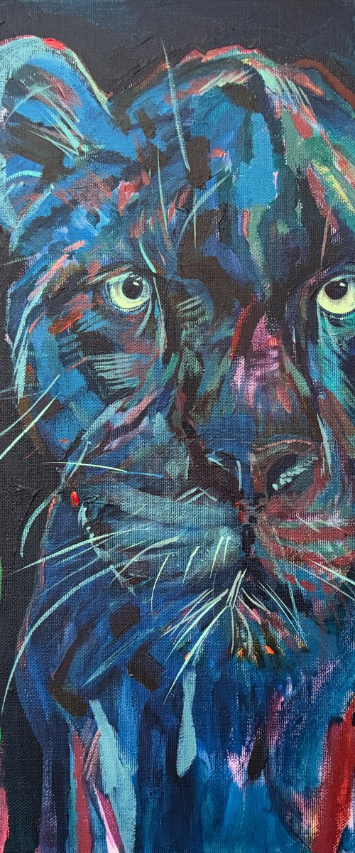 Jaguar by Hanna Bell