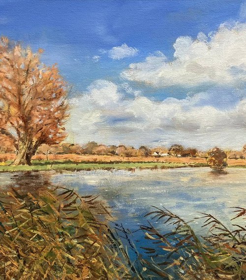 The Hampshire Avon by Peter Frost