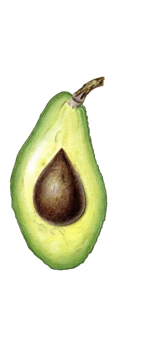 Avocado Half by Maryna Vozniuk