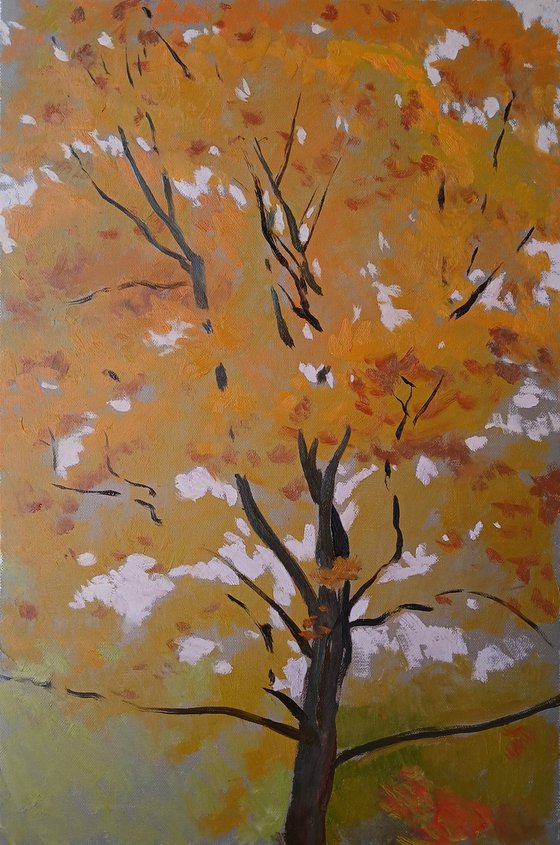 Leaves of October