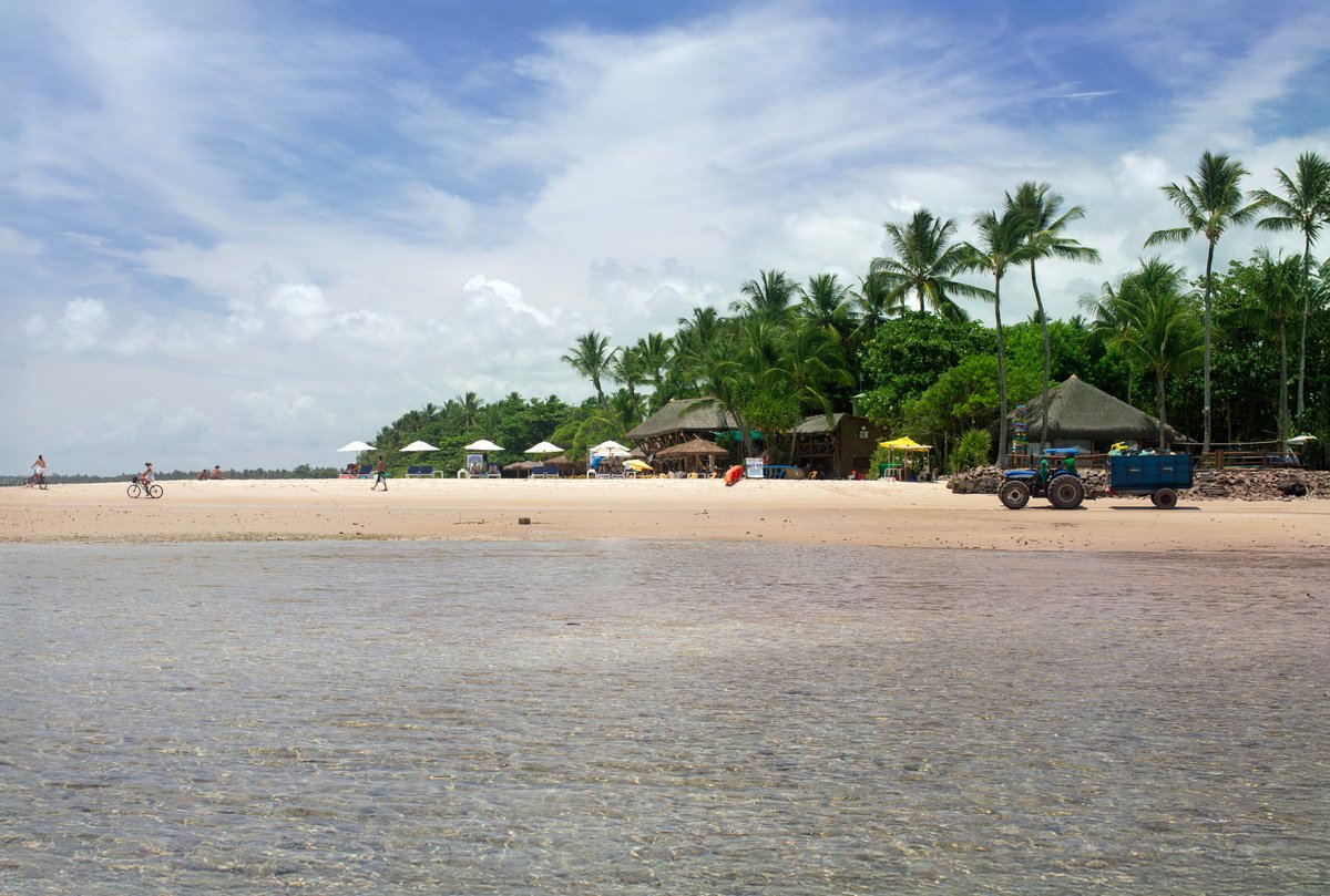 Photorealistic Landscape Photograph By Chiara Vignudelli, 18 X 12, Tropical Flow, Original Artwork