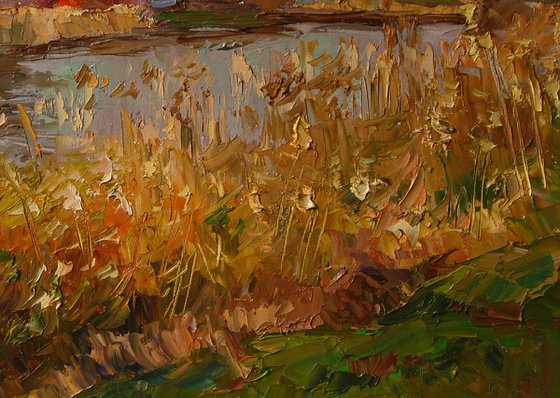 Autumn river