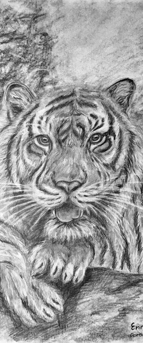 white tiger by Ksenia Lutsenko