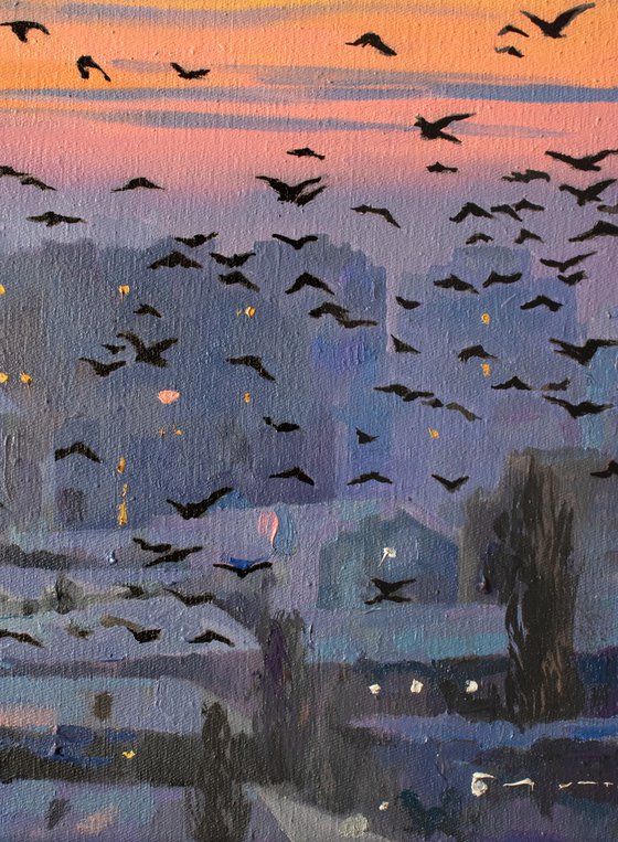 Flock at First Light