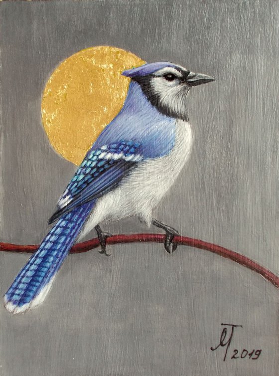 "Blue jay"