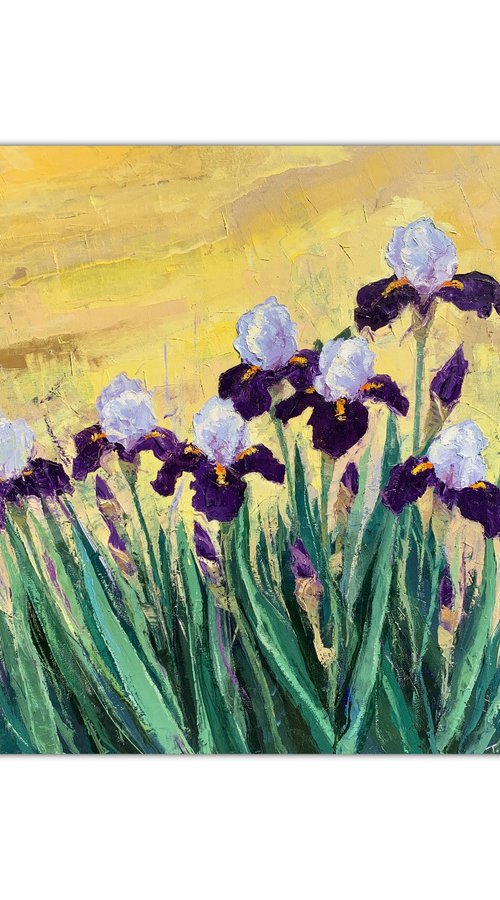 Irises at Sunrise A2,A1,A3   80x140cm by Tigran Mamikonyan