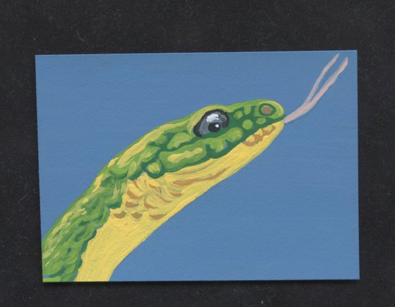 ACEO ATC Original Miniature Painting Green Mamba Snake Wildlife Art-Carla Smale