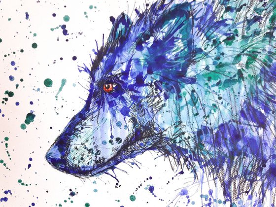 "Blue wolf"