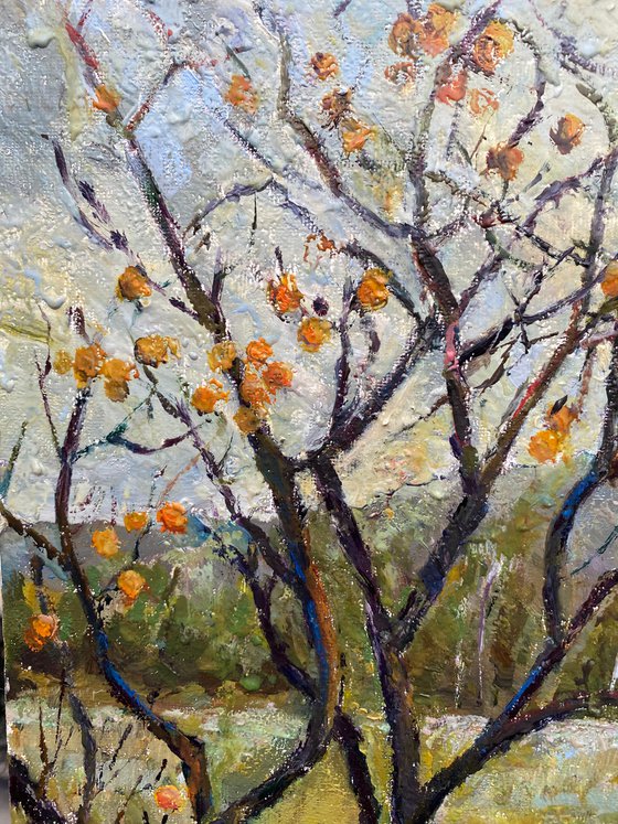 Persimmon Trees in October in the Georgian Countryside Landscape