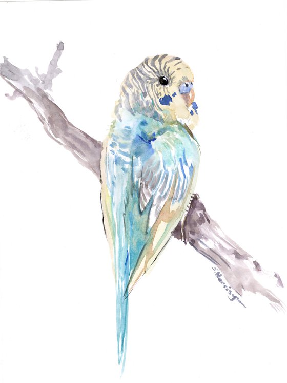 Budgie, Parakeet painting