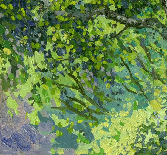 Birches