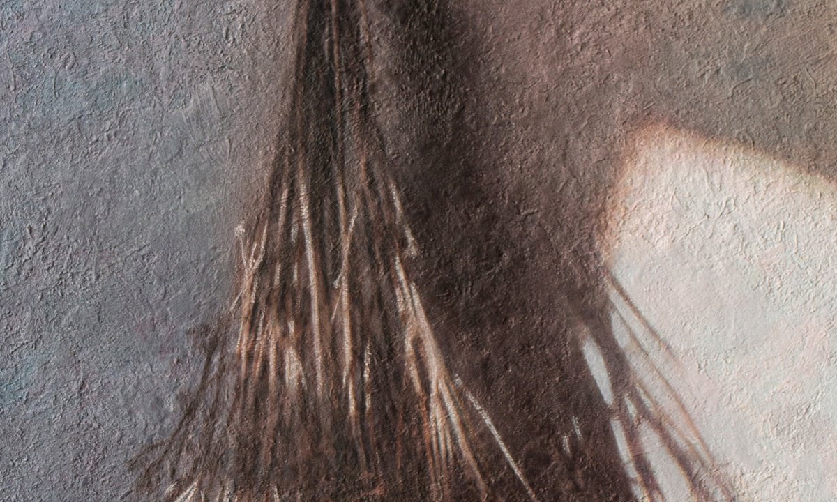 Impressionistic Still Life Acrylic Painting By Andrejs Ko, 20 X 26, Drying Plants, Original Artwork