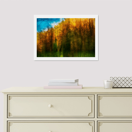 Nature Vibrations - Walking In The Woods. Limited Edition 1/50 15x10 inch Photographic Print