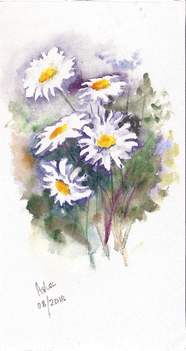 Daisies Painting - White Floral Watercolor Daisies Painting -10.25x 5.5 by Asha Shenoy