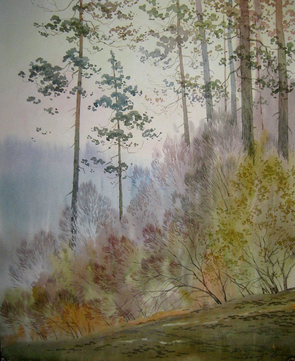 Impressionistic Landscape Watercolour By Valeriy Savenets-1, 16 X 20", At The Edge Of The Forest, Original Artwork