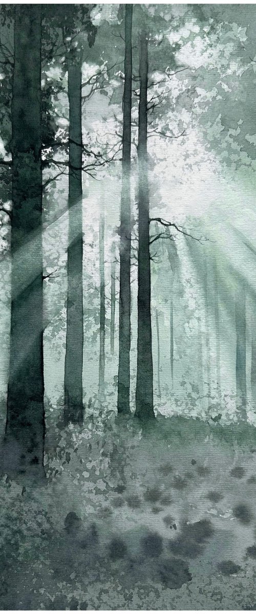 Rays among the trees by Nazar Grunyka