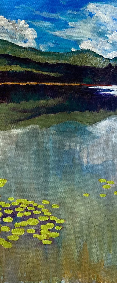 House by the lake by John Cottee