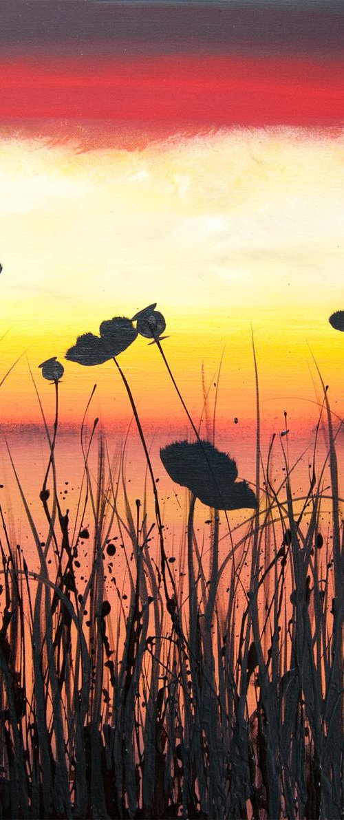 New Horizons by Carol Wood