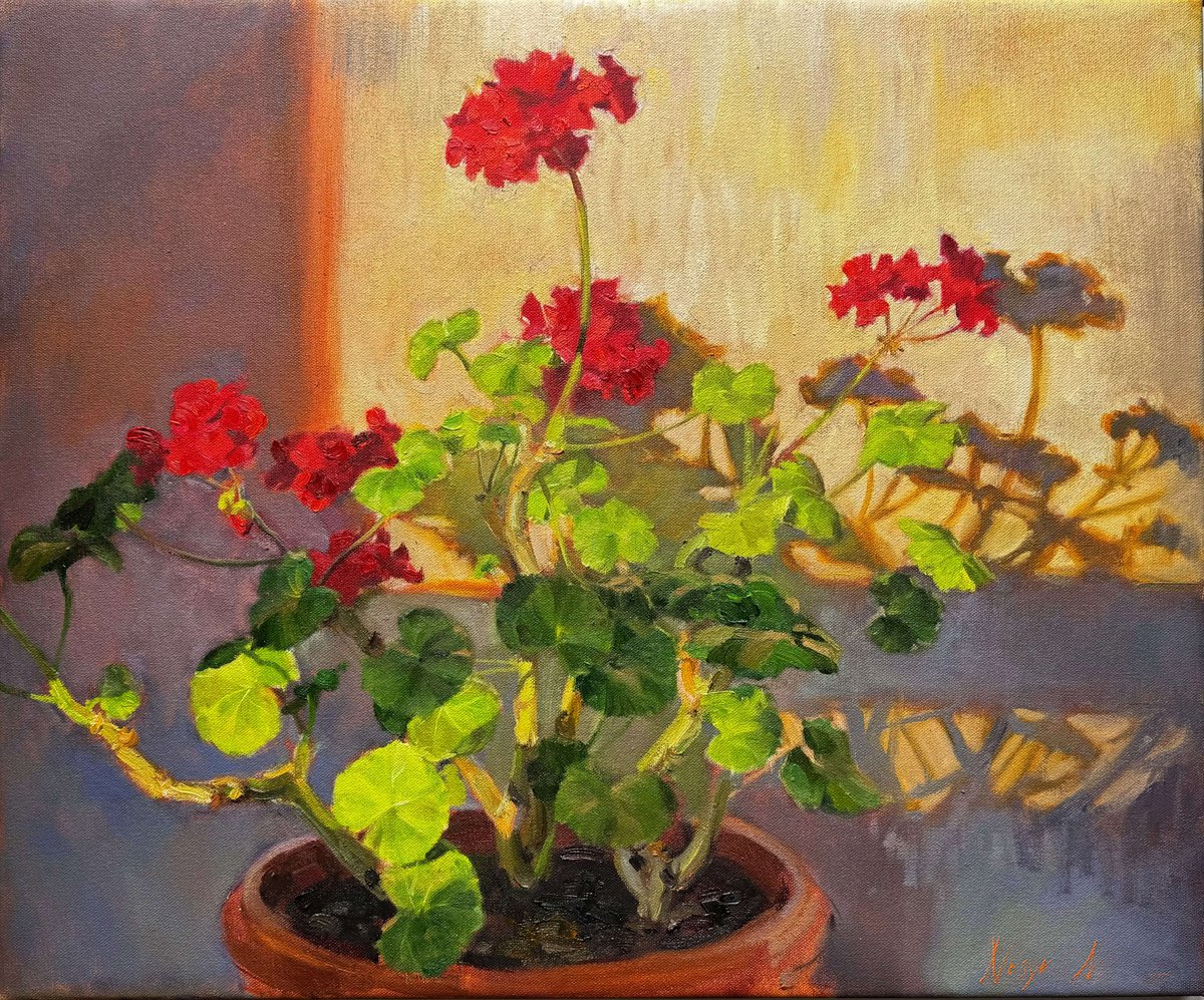 Impressionistic Botanical Oil Painting By Nataliia Nosyk, 24 X 20", Pelargonium In Evening Light, Original Artwork