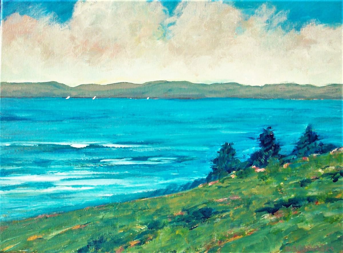 Impressionistic Landscape Acrylic Painting By David J Edwards, 16 X 12, Sailing, Gulf Islands, Original Artwork