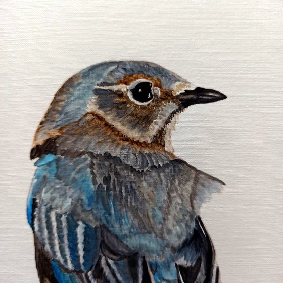 Watercolor Eastern Bluebird