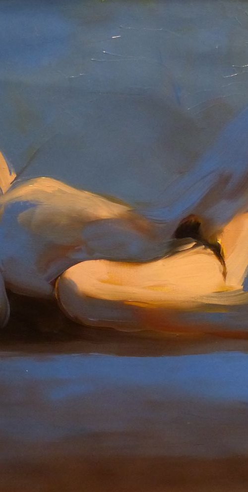 Nude in Blue, oil on canvas, 46x55 cm by Frederic Belaubre