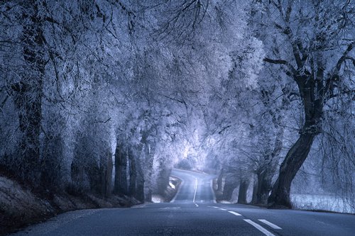 Winter road by Kopnicky Marek
