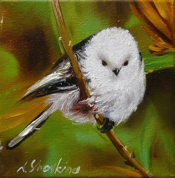 White bird Animals Artwork