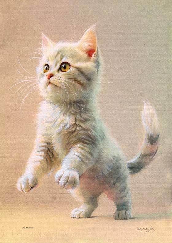 Kitten VII