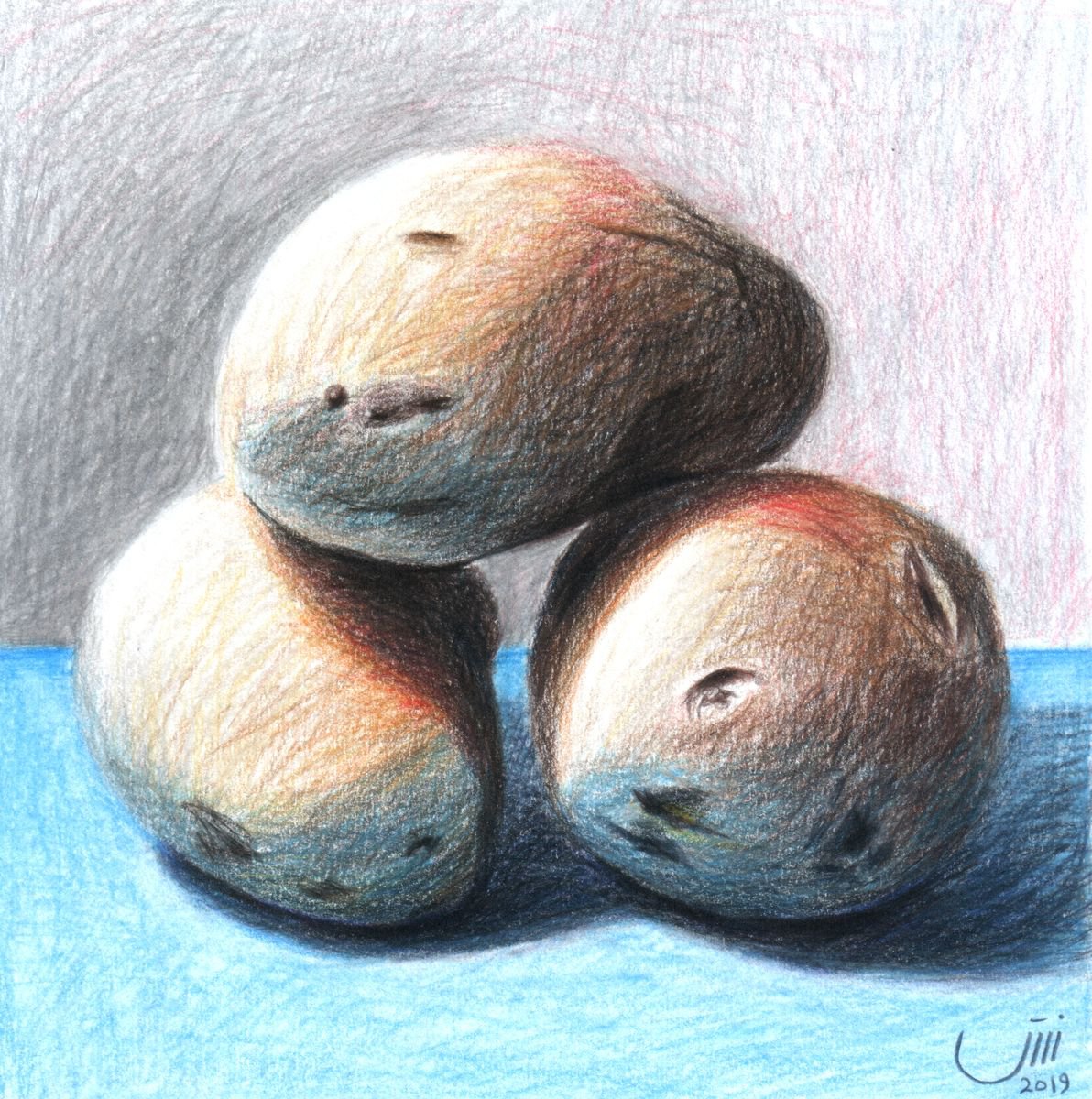 No.154, Potatoes by sedigheh zoghi
