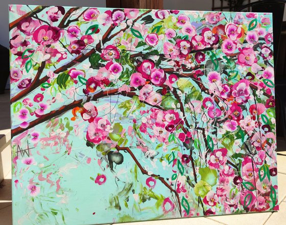 Cherry Blossom Spring