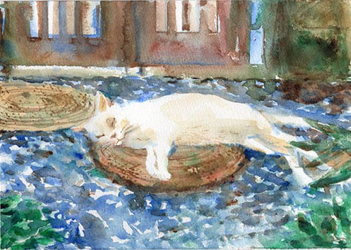 White cat having a nap by Yumi Kudo